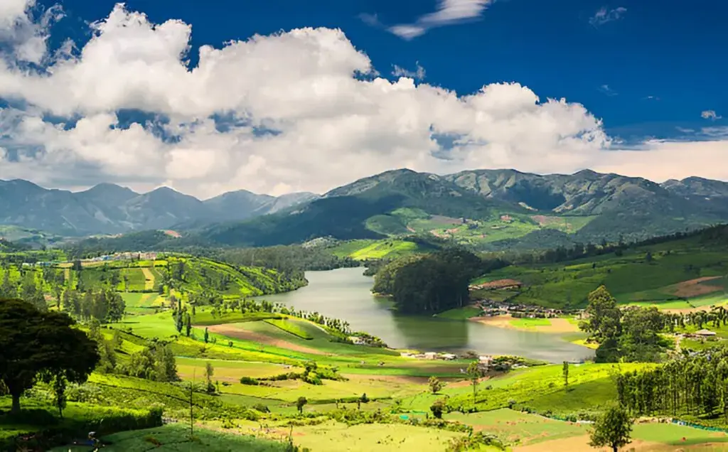 Ooty, Tamil Nadu