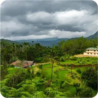 Wayanad, Kerala