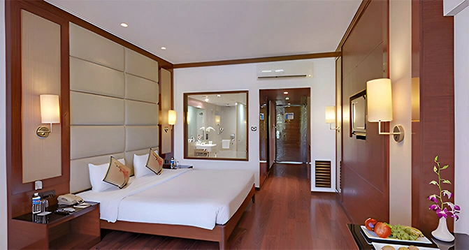 19_13_2024_01_13_26Deluxe