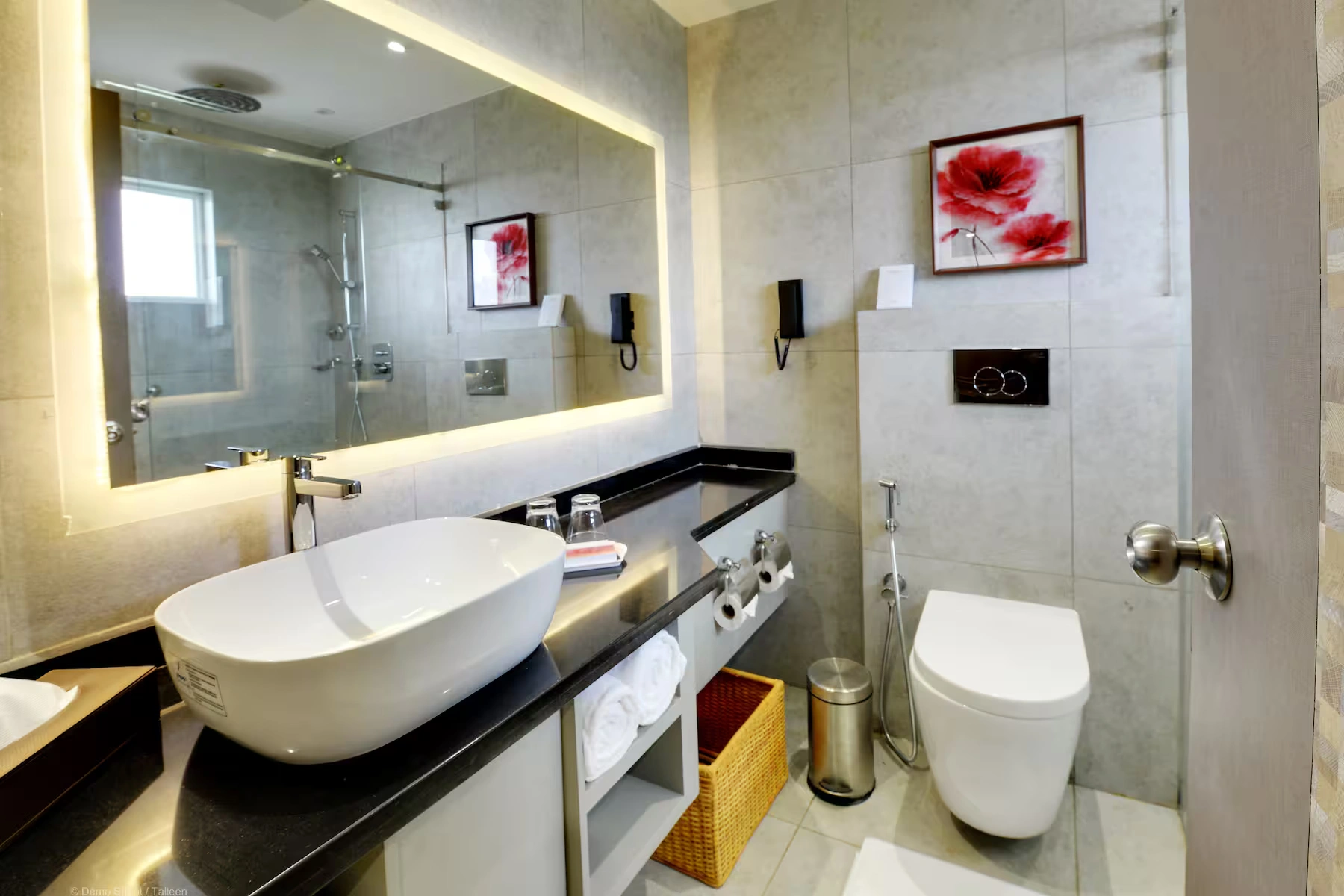 52299_premium_bathroom_3