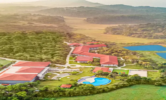 664c484c8871cResort Top Shot_Dro