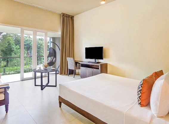 66d5a66e6fd8f663b4d5e23a97premier room