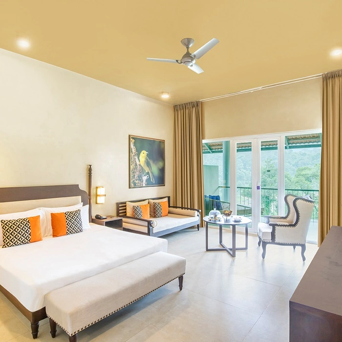 66d5a6ab4a202666c1dad247f2Deluxe Room_King Bed 1