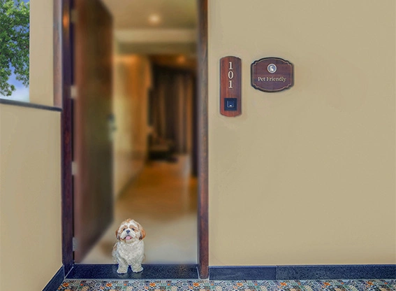 66d5a6ed0f99fPet Friendly Deluxe Room