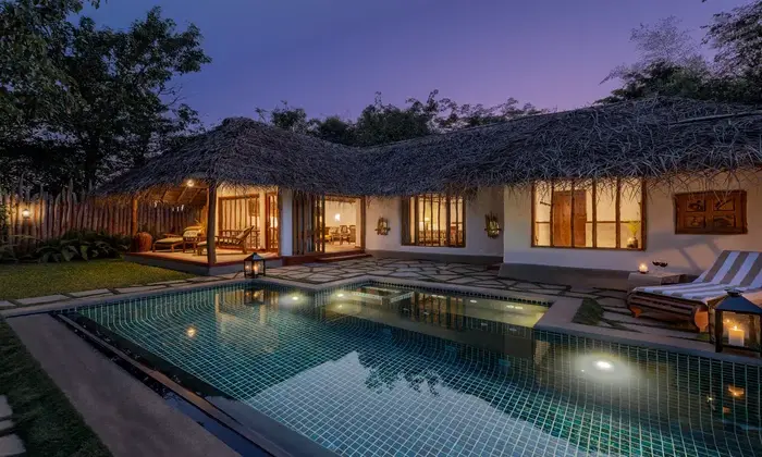 banner_1_of_1_swoxjj_xqkyzu (1)