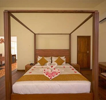 maple-ashSLA_1184-370x350