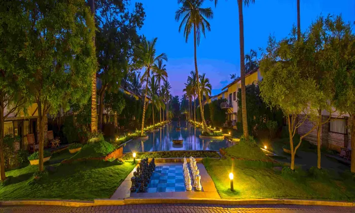 windflower-Mysore-windflower-Mys